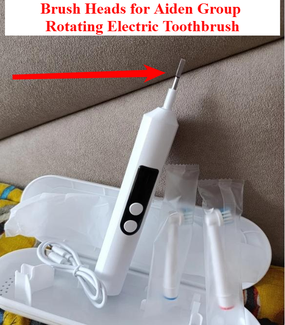 Replacement Brush Heads for Ai - Group Head Brush avaliação e preço