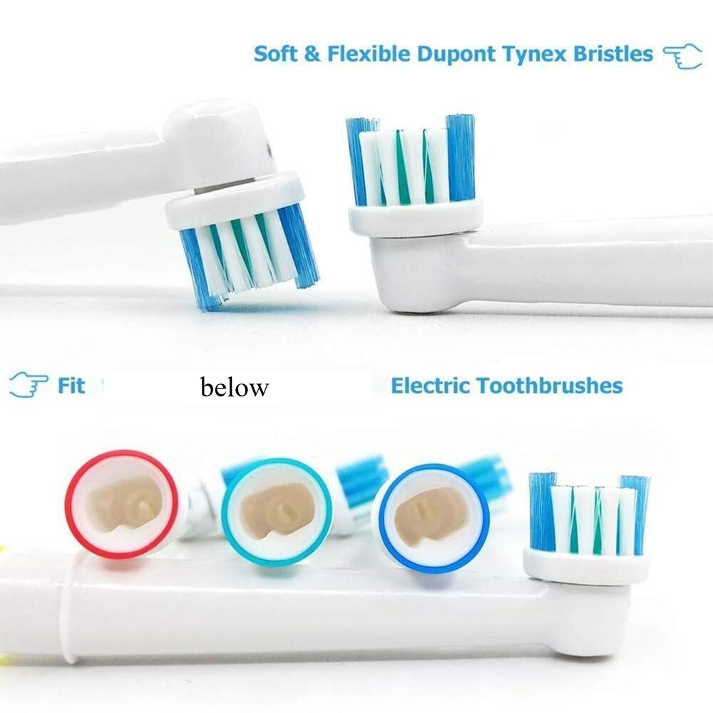 Replacement Brush Heads for Ai - Group Head Brush avaliação e preço